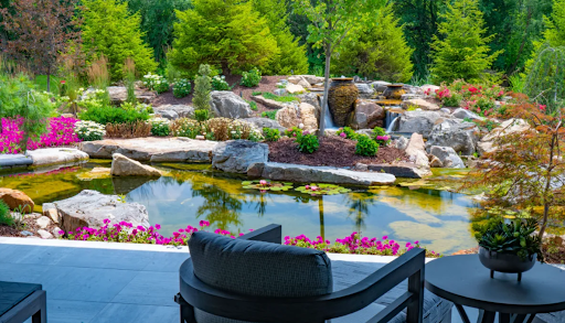 cleaner pond
