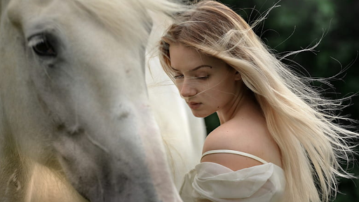 horse screen